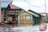 Bencana banjir tak kunjung surut sejak sebulan terakhir di
Kecamatan Muara Kaman, Kabupaten Kutai Kartanegara (Kukar), Kalimantan Timur. Hingga kini pengungsi akibat banjir di Muara Kaman itu mencapai 111 kepala keluarga (KK) atau sekitar 473 jiwa. (Hayru Abdi/ANTARA Kaltim)