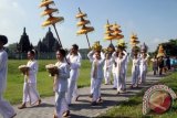 Ratusan umat Budha melakukan Pradaksina atau berdoa sambil berjalan mengelilingi Candi Sewu, Sleman, Sabtu (25/5). Upacara tersebut merupakan rangkaian acara perayaan Hari Raya Waisak 2557 BE/2013. ANTARA FOTO/Regina Safri