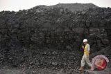 Puluhan perusahaan batubara terancam gulung tikar