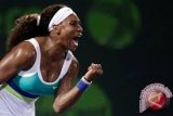 Serena William mundur dari turnamen Piala Rogers