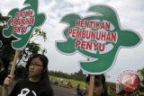 Dua anggota Profauna Indonesia memajang poster berbentuk karapas penyu dalam aksi unjukrasa di depan Kantor Gubernur Bali, Denpasar, Rabu (19/6). Para aktivis lingkungan tersebut meminta Pemprov Bali serius menangani perdagangan penyu yang hingga saat ini masih terjadi yaitu 4 kasus penyelundupan/perdagangan ke Bali dalam 8 bulan terakhir. ANTARA FOTO/Nyoman Budhiana/nym/2013.