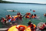 Sejumlah wisatawan berenang di "Danau Ubur-ubur" Pulau Kakaban, Kabupaten Berau, Kaltim. di lokasi ini terdapat ubur-ubur yang tidak menyengat sehingga para wisatawan gemar menyentuhnya. dana itu oleh sebagian wisatawan disebut danau ubur-ubur karena jenis ubur-ubur ini tidak ditemukan di tempat lain di penjuru dunia. (M Ghofar/ANTARA)
