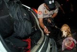 Anggota polisi unit satwa K-9 melakukan pemeriksaan muatan ketika operasi cipta kondisi pada kendaraan yang melintas di kawasan Jalan Ahmad Yani, Surabaya, Jatim, Jumat (28/6) malam. Operasi tersebut untuk meningkatkan keamanan dan ketertiban menjelang Bulan Ramadhan serta sebagai antisipasi hilangnya 250 batang dinamit. ANTARA FOTO/M Risyal Hidayat/Koz/nz/13.