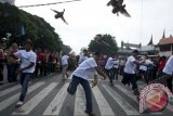 Warga Payakumbuh melakukan pacu itik sebelum etape kedua Payakumbuh - Danau Singkarak dimulai dalam Tour de Singkarak 2013, Sumatera Barat, Senin (3/6). Pacu itik merupakan tradisi daerah Payakumbuh dan kerap dilakukan menjelang bulan puasa. ANTARA FOTO/Rosa Panggabean/adt/2013.