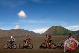 Sejumlah anggota Journalist MTB peserta Tour de Bromo melintas di lautan pasir Taman Nasional Bromo Tengger Semeru, Probolinggo, Jatim, Sabtu (1/6). Taman Nasional tersebut menyajikan trek alami bagi penggemar olahraga sepeda gunung (MTB) dengan latar belakang pemandangan Gunung Bromo yang berada di jajaran gunung Batok dan gunung Semeru. ANTARA FOTO/M Risyal Hidayat/adt/2013.