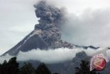 Letusan kecil Merapi bawa hujan abu