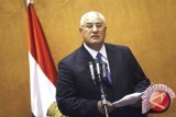 Pemimpin Sementara Mesir Tetapkan Jadwal Pemilu