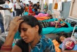  Fatal, Makanan Sekolah India Terkontaminasi Pestisida