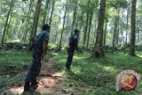 Pemkab Musi Banyuasin berdayakan kelompok pelestari hutan