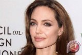 Gwyneth Paltrow, Angelina Jolie Mengaku Pernah Dilecehkan Harvey Weinstein