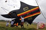 Sekelompok pemuda menerbangkan layang-layang jenis Bebean atau ikan dalam Festival Layang-Layang Bali ke-35 di Pantai Padanggalak, Sanur, Denpasar, Jumat (26/7). Festival tahunan tersebut berlangsung 26-28 Juli 2013 dengan melibatkan 1.121 layang-layang tradisional dan kreasi untuk menyuguhkan atraksi wisata yang menarik. ANTARA FOTO/Nyoman Budhiana/nym/2013.