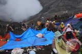 Sejumlah Suku Tengger mencoba membawa pulang sesaji dalam larung sesaji upacara Yadnya Kasodo di kawah Gunung Bromo, Malang, Jawa Timur, Rabu (24/7). Ritual tahunan yang berlangsung selama dua hari tersebut merupakan ungkapan syukur atas hasil panen yang berlimpah. ANTARA FOTO/Ari Bowo Sucipto/nym/2013.