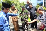 Banjarmasin, 1/7 - Menteri Tanam Pohon - Menteri Lingkungan Hidup RI Balthasar Kambuaya menyiram tanaman trembesi yang baru ditanamnya di saksikan Sekretaris Daerah Pemprov Kalsel Arsyadi, Walikota Banjarmasin Muhidin dan lainnya di halaman Universitas Lambung Mangkurat Banjarmasin, Senin (1/7). Balthasar Kambuaya menjadi Keynote Speaker dalam Seminar Nasional di ajang Pekan Ilmiah Akuntansi Nasional 2013. Foto Antara Kalsel/Herry Murdy Hermawan/B