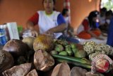 Sejumlah wanita anggota nelayan mengikuti program pelatihan pengolahan buah dari beragam jenis bakau menjadi produk makanan dan kosmetika di kawasan Ekowisata Wanasari Tuban, Badung, Senin (29/7). Pengembangan ekowisata tersebut untuk memanfaatkan potensi alam di kawasan pesisir dalam peningkatan perekonomian nelayan sehingga tidak bergantung hanya dari hasil tangkapan ikan. ANTARA FOTO/Nyoman Budhiana/nym/2013.