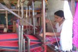 :  Seorang ibu rumah tangga sedang menenun benang untuk membuat ulos atau kain khas Suku Batak, di Kelurahan Pondok Sayur, Kota Pematang Siantar, Minggu (20/7).  Hasil tenunan tradisional itu ditawarkan kepada pembeli sekitar Rp30.000 per potong. (Foto Antarasumut/Waristo)