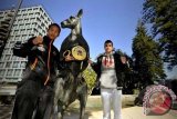 Petinju Indonesia Daud Yordan (kiri) dan lawannya petinju asal Argentina Daniel Eduardo 'Tatu' Brizuela mengangkat sabuk juara yang diperebutkan di Stirling Park, Perth, Australia, Kamis (4/7). Pertandingan guna memperebutkan titel juara dunia kelas ringan versi IBO itu akan dilaksanakan di Metro City Perth, Australia pada Sabtu 6 Juli 2013. ANTARA FOTO/Andika Wahyu/nym/2013.