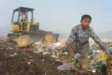 :  Seorang anak usia sekolah dasar mengumpulkan pelastik di tempat pembuangan akhir (TPA) sampah Tanjung Pinggir, Kota Pematang Siantar, Sabtu (13/7).  Setiap hari sedikitnya 700 meter kubik sampah diangkut ke lokasi tersebut. (Foto Antarasumut/Waristo)