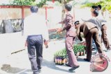 Pemusnahan 341 botol minuman keras (miras) dilakukan dengan cara dipacahkan dibak sampah di halaman Kejaksaan Negeri Kabupaten Penajam Paser Utara (PPU), Senin (22/7). (Bagus Purwa/ANTARA Kaltim)