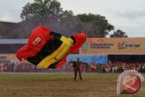 Aksi salah satu dari 10 Anggota Kopassus yang memeriahkan Pembukaan Erau dengan atraksi Terjun Payung mendarat di tengah lapangan Stadion Rondong Demang, Minggu (30/6). (Hayru Abdi/ANTARA Kaltim)