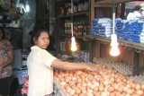 Seorang pedagang telur ayam ras di pasar Mardika, Kota Ambon sedang memperhatikan dagangannya. Harga telur ayam ras beberapa pekan terakhir ini melambung tinggi dari biasanya Rp1.200 menjadi Rp2.000 per butir. Bahkan, pantauan di pasar tradisional Wayame, Teluk Ambon, Kamis (22/8), harga mencapai Rp2.500 untuk eceran dan Rp30.000 per piring isi 12 butir, dimana para pedagang beralasan harus keluar ongkos untuk mengambil stok di pasar Mardika. (John Soplanit)