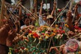 Sejumlah warga berebut gunungan saat prosesi Grebeg Syawal di halaman Masjid Gede, Kauman, Yogyakarta, Kamis (8/8). Kegiatan yang diselenggarakan oleh Kraton Yogyakarta saat Hari Raya Idul Fitri 1434 H tersebut merupakan sedekah Raja Yogyakarta untuk rakyat yang disimbolkan dalam bentuk hasil bumi. FOTO ANTARA/ Andreas Fitri Atmoko/nym/2013.