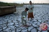 Seorang anak korban lumpur melakukan tabur bunga di area makam yang kini tenggelam Lumpur Lapindo di Kecamatan Porong, Sidoarjo, Jawa Timur, Rabu (7/8). Tradisi Ziarah kubur yang di lakukan satu hari sebelum hari Idul Fitri 1 Syawal 1434 H tersebut juga untuk memohon kepada Tuhan agar permasalahan ganti rugi yang sudah berlangsung tujuh tahun segera terselesaikan. ANTARA FOTO/Rudi Mulya/nym/2013.