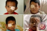 Foto kolase empat anak korban pistol mainan, (dari kiri atas searah jarum jam) Fauzan (11), Supriyanto (12), Alif (6), Faizul (9), berada di ruangan inap mata, RSUP Dr.M.Djamil Padang, Sumbar, Rabu (14/8). Sedikitnya 6 bocah cedera pada matanya dirawat di rumah sakit itu akibat peluru pistol mainan yang marak dimainkan anak-anak semasa Lebaran. ANTARA FOTO/Iggoy el Fitra/nym/2013.