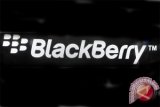 BlackBerry Mobile bakal hadirkan kejutan di IFA