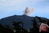 Gunung Marapi menyemburkan abu vulkanik terlihat dari Kota Padang Panjang, Sumbar, Jumat (27/9). Menurut data Pusat Vulkanologi dan Mitigasi Bencana Geoloogi (PVMG) di Bukittinggi, peningkatan aktivitas gunung marapi per September terjadi 23 letusan dengan status waspada atau level II sehingga pengunjung tidak diijinkan mendekat hingga radius 3 Km dari puncak kawah. ANTARA FOTO/Muhammad Arif Pribadi/nym/2013.