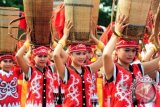 Sejumlah penari etnik Dayak Kalbar mengikuti pawai pembukaan Festival Budaya Bumi Khatulistiwa (FBBK) 2013 di Jalan Ahmad Yani, Pontianak, Kamis (26/9). FBBK 2013 yang melibatkan seluruh kabupaten/kota di Kalbar dan digelar dari 26-29 September tersebut, akan diwarnai dengan sejumlah kegiatan yaitu antara lain seperti lomba tari daerah, lomba berbalas pantun dan lomba sumpit. ANTARA FOTO/Jessica Helena Wuysang