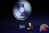 Siri Apple bisa jawab pertanyaan  seputar virus corona