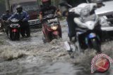 Sejumlah kendaraan menerobos rob yang menggenangi kawasan Ancol Baru , Jakarta Utara, Jumat (18/10). Genangan rob tersebut terjadi karena luapan Kali Ancol yang tidak dapat menampung air laut pasang. ANTARA FOTO/Zabur Karuru/nym/2013.