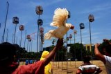 Surabaya (Antara Jatim) - Sejumlah ayam Bekisar diikutkan Kontes Seni Suara Alam Ayam Bekisar Tingkat Nasional 2013, di Lapangan Bogowonto Surabaya, Minggu (6/10). Kontes yang digelar Paguyuban Ayam Bekisar Arek Surabaya (PABAS) bekerja sama dengan Keluarga Penggemar Bekisar Indonesia (Kemari) untuk memperebutkan PABAS Cup I tersebut, diikuti 200 peserta dari berbagai kota/kabupaten di Indonesia. FOTO Eric Ireng/13