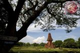 Kawasan Candi Budaya Trowulan