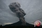 BNPB: tiga tewas terkena letusan Gunung Sinabung 