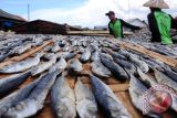 Produksi Ikan Asin Turun