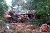 Jembatan dari arah ponton Sunyat menuju pasar ambruk, namun tidak ada korban jiwa. Kejadian yang terjadi pada pukul 09.30 WIB (25/11) itu akibat truk bermuatan kelapa sawit tujuan pabrik CPO Mill PT Parna Agro Mas di desa Tapang Pulau, Kecamatan Belitang Hilir, terbalik. Kejadian tersebut mengakibatkan macet di jalur akses utama dari ponton penyeberangan, yang didominasi truk angkutan buah kelapa sawit. (Foto Antara Kalbar/Arkadius Gansi) 