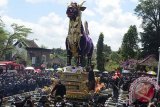 Warga menggotong peti jenazah berbentuk sapi yang berisi jenazah Alm. Tjokorda Istri Sri Tjandrawati yaitu keluarga raja Puri Saren Ubud dalam upacara Ngaben di Ubud, Gianyar, Bali, Jumat (1/11). ANTARA FOTO/Gede Wira/nym/2013.