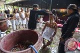 Warga mengikuti ritual pembersihan diri Ruwat Sukerto di Pendopo Agung Trowulan, Mojokerto, Jawa Timur, Rabu (6/11). Ritual bersih diri di kawasan areal situs bekas kota keraton Majapahit itu digelar dalam rangka memperingati tahun baru Islam 1435 H yang juga merupakan tahun baru dalam kalender Jawa. ANTARA FOTO/Ismar Patrizki/nym/2013.