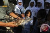 Polisi hutan memberikan penjelasan kepada sejumlah pelajar mengenai penyu sisik (Eretmochelys imbricata) di Pulau Pramuka, Kepulauan Seribu, Kamis (14/11). Penyu sisik merupakan salah satu jenis penyu yang terancam punah akibat perburuan. ANTARA FOTO/Zabur Karuru
