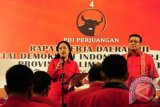 Ketua Badan Pemenangan (BP) Pemilu DPP PDI Perjuangan Pusat, Puan Maharani (kiri) melantik Ketua dan anggota BP Pemilu DPD PDIP Kalbar di Pontianak, Selasa (26/11). Puan Maharani menyatakan untuk menghadapi Pemilu 2014, PDIP telah memasukkan divisi intelijen di dalam struktur kepengurusan BP Pemilu guna mendeteksi semua persoalan yang kemungkinan terjadi baik di internal maupun eksternal partai. ANTARA FOTO/Jessica Helena Wuysang