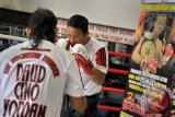 Petinju Indonesia Daud Yordan (kanan) bersama pelatihnya Damianus Yordan (kiri) menjalani sesi latihan di Harrys Gym, Perth, Australia, Selasa (3/12). Daud Yordan akan menghadapi penantangnya asal Afrika Selatan Sipho Taliwe pada perebutan IBO World Lightweight Champion di Metro City Perth Australia pada 6 Desenber mendatang. ANTARA FOTO/Yudhi Mahatma/ss/pd/13 