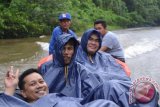 GM PLN Wilayah Kalimantan Barat Hot Martua Bakkara (ketiga dari depan) dan rombongan dalam kondisi hujan menyusuri Sungai Seluas menggunakan perahu bermotor saat meninjau lokasi PLTS Siding, Kabupaten Bengkayang, yang berada di perbatasan Indonesia - Malaysia. PLTS tersebut diharapkan mampu memenuhi kebutuhan listrik masyarakat setempat. (Uray Juliansyah, Humas PLN Wilayah Kalbar)