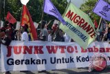 Ratusan demonstran dari sejumlah lembaga swadaya masyarakat, baik nasional maupun internasional, kembali menggelar aksi anti Organisasi Perdagangan Dunia (WTO) dari Monumen Bajra Sandhi hingga Gedung Kedutaan Besar Amerika Serikat di Denpasar, Jumat (6/12). Dalam aksinya mereka menuntut agar WTO dibubarkan kerana dianggap menyengsarakan rakyat miskin diseluruh dunia. ANTARA FOTO/Gede Wira Suryantala/13.