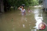 Seorang ibu warga Desa Sidas, Kecamatan Sengah Temila, Kabupaten Landak, berusaha berjalan di tengah kondisi banjir, akibat hujan deras yang terjadi mulai Selasa malam (3/12).  Air sungai Sidas meluap hingga naik ke permukaan hingga merendam sejumlah jalan dan rumah penduduk. (Foto Tim/Kundori)
