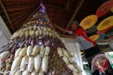 Seorang seniman menata pohon natal yang dibuat dari hasil bumi berupa ketela, jagung dan kentang di sebuah restoran di Malang, Jawa Timur, Senin (23/12). Pohon natal setinggi 4,5 meter tersebut untuk memeriahkan natal sekaligus menarik minat pengunjung. ANTARA FOTO/Ari Bowo Sucipto/wra/13.