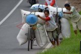 Madiun (Antara Jatim) - Pekerja perempuan mendorong sepeda bermuatan 150 kg gabah menuju pasar sejauh sekitar 20 Km saat melintas di tanjakan Jembatan Precet, Kota Madiun, Sabtu (21/12). Berdasarkan data Badan Pusat Statistik, dari total 112 juta jumlah pekerja di Indonesia, 43 juta di antaranya adalah pekerja perempuan. FOTO Siswowidodo/13/Oka.