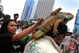 Komunitas Pecinta Iguana Jabodetabek menunjukkan hewan reptil Iguana pada Hari Bebas Kendaraan bermotor di Bunderan HI, Jakarta, Minggu (29/12). Kegiatan tersebut merupakan bentuk sosialisasi untuk memperkenalkan Iguana dan Buaya kepada masyarakat sebagai salah satu upaya untuk sadar dan cinta fauna. ANTARA FOTO/Reno Esnir


