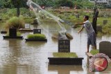 Pemakaman Umum Terendam banjir