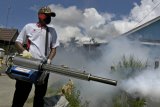 Fogging jangan dijadi patokan utama cegah DBD, kata Kadinkes